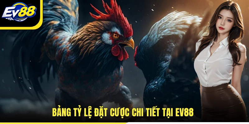 Bảng tỷ lệ đặt cược chi tiết tại EV88