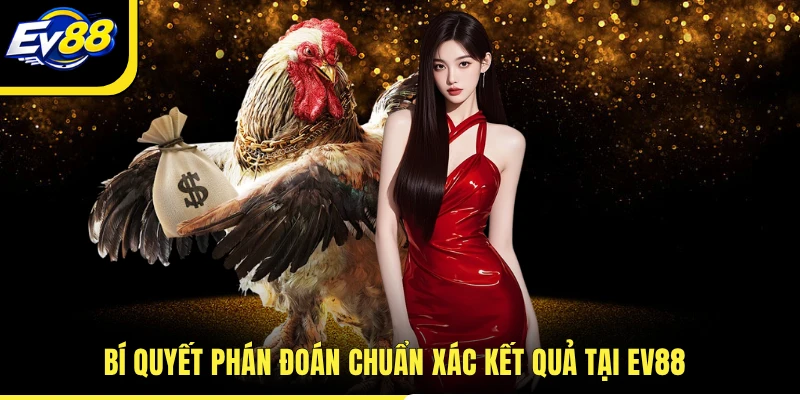 Bí quyết phán đoán chuẩn xác kết quả tại EV88