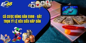 Cá Cược Bóng Bàn EV88 - Bắt Trọn Tỷ Lệ Kèo Siêu Hấp Dẫn