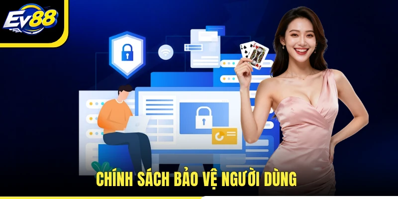 Chính sách bảo vệ người dùng