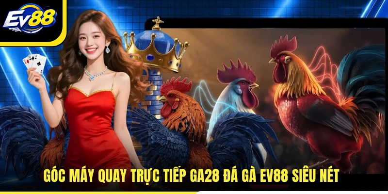 Góc máy quay trực tiếp GA28 đá gà EV88 siêu nét