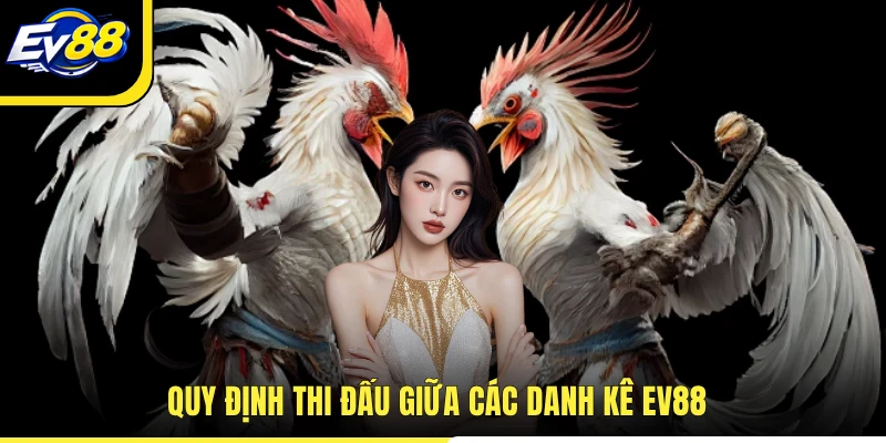 Quy định thi đấu giữa các danh kê EV88