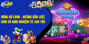 Rồng Hổ EV88 - Hướng Dẫn Luật Chơi Và Kinh Nghiệm Từ Cao Thủ