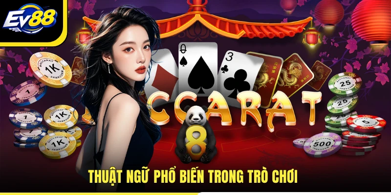 Thuật ngữ phổ biến trong trò chơi