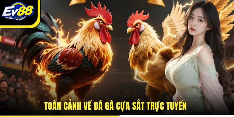 Toàn cảnh về đá gà cựa sắt trực tuyến